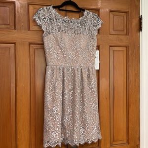NWT Aidan Mattox Metallic Lace Fit & Flare Dress Silver-Blush size 6